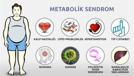 Kardiyo Egzersizlerinin Kilo Kontrolü ve Metabolik Sendrom Riskini Azaltma